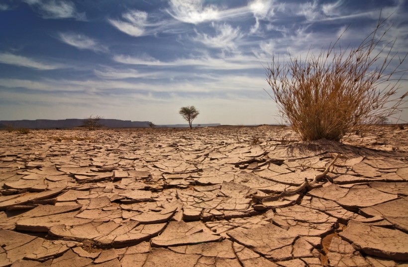 Курсовая работа по теме Климатические засухи и опустынивание Земли