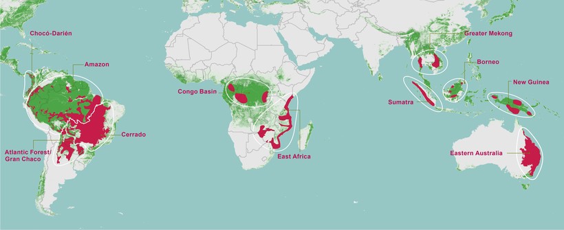 Что происходит с теми регионами Африки, где вырубили тропический лес  - фото 3