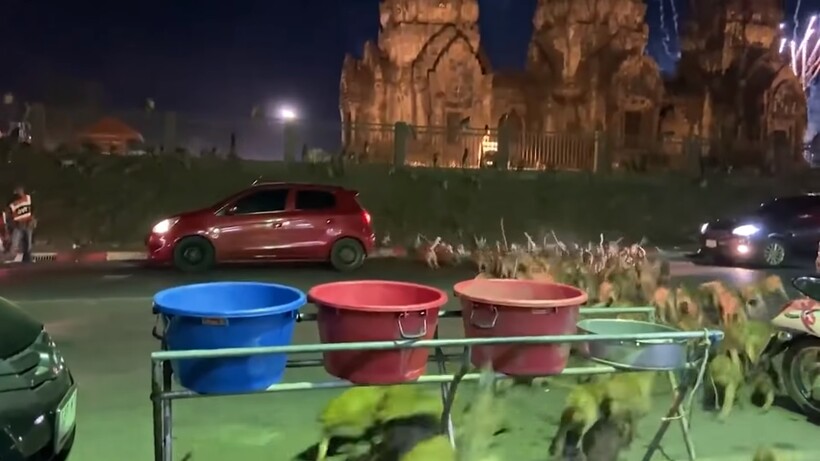 Видео: Как три аиста переводили аллигатора через дорогу и другие невероятные моменты